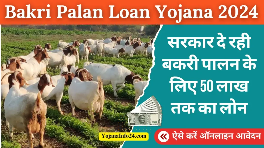 Bakri Palan Loan Yojana